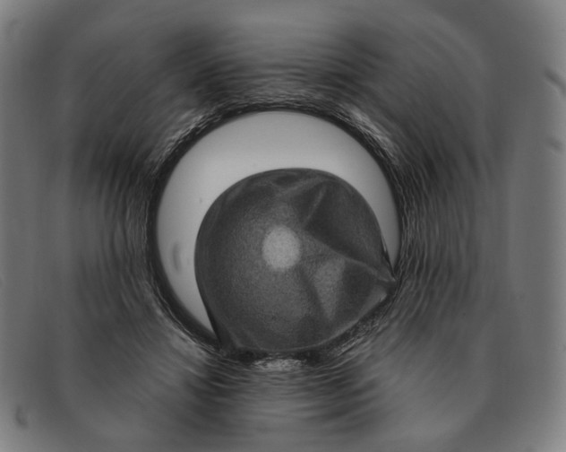X0000091330452200708311440