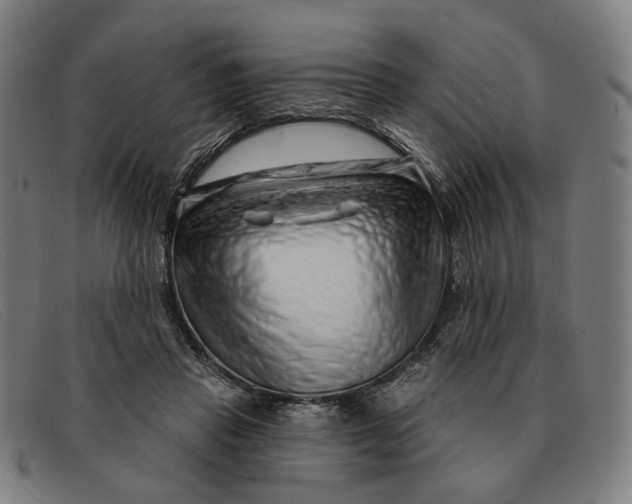 X0000091330453200708311440