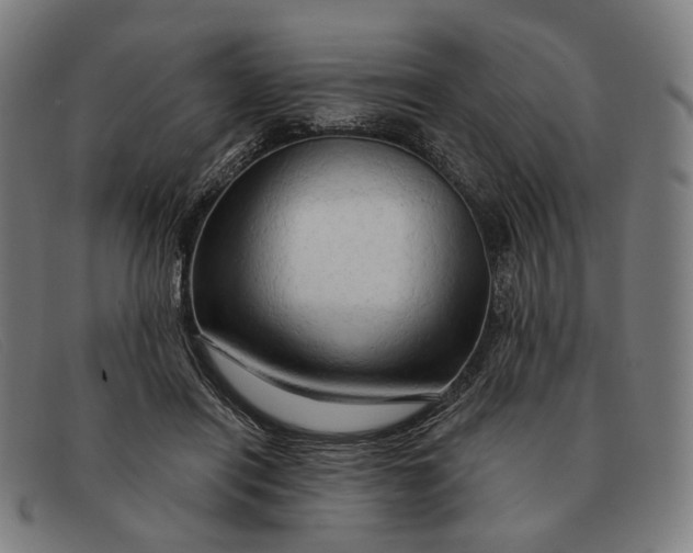 X0000091330454200708311440