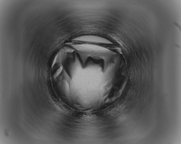 X0000091330455200708311440