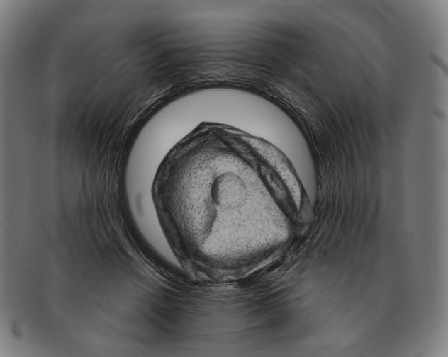 X0000091330456200708311440