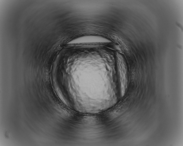 X0000091330457200708311440