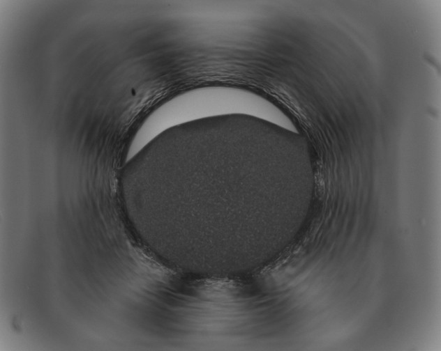 X0000091330458200708311440