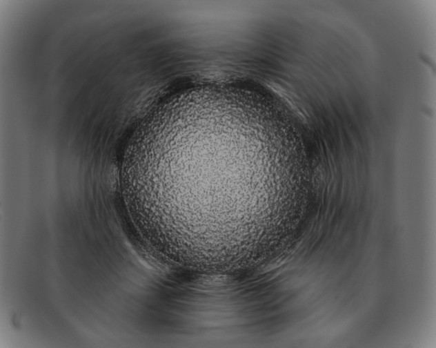 X0000091330459200708311440