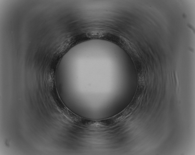 X0000091330460200708311440