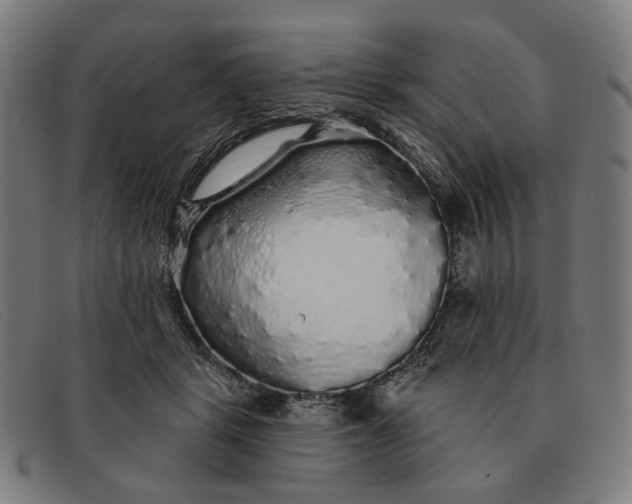 X0000091330461200708311440