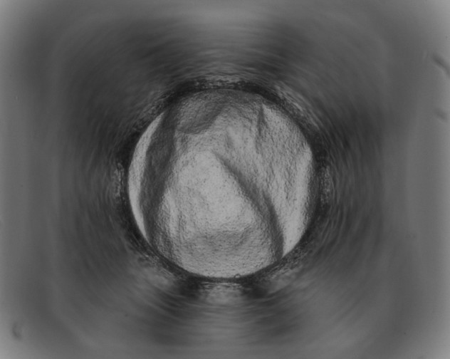 X0000091330463200708311440
