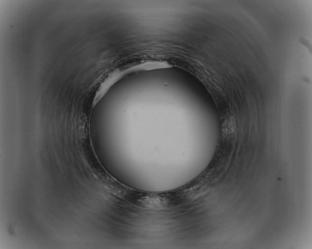 X0000091330464200708311440