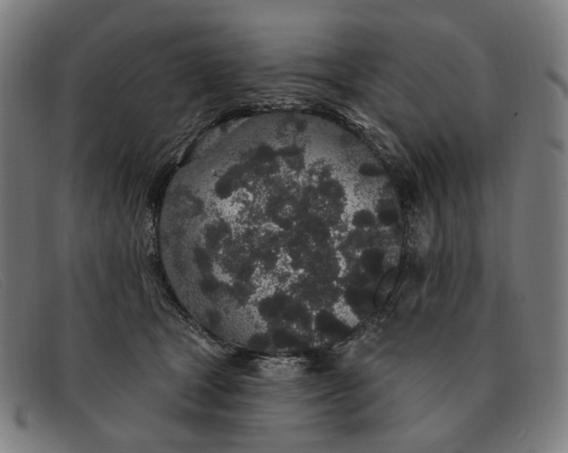 X0000091330465200708311440