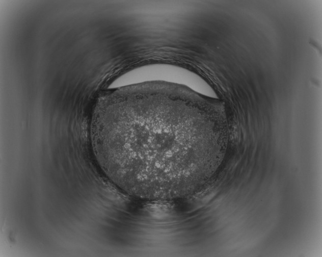 X0000091330466200708311440