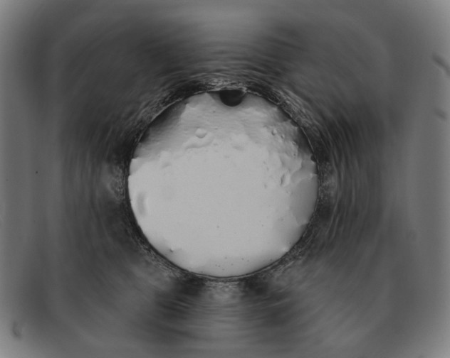 X0000091330469200708311440
