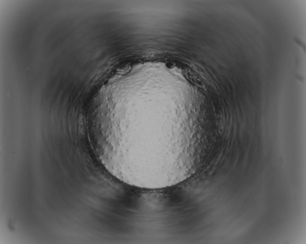 X0000091330470200708311440