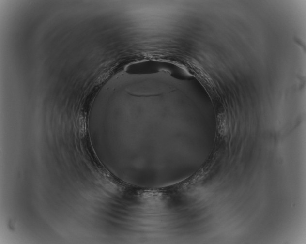 X0000091330471200708311440