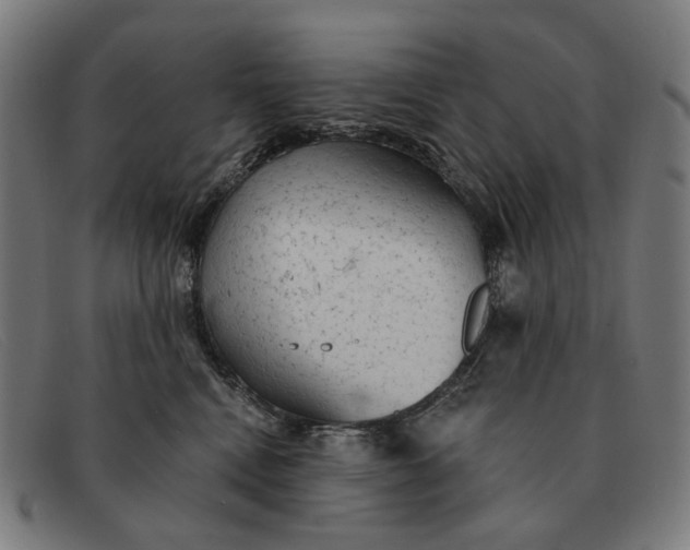 X0000091330472200708311440