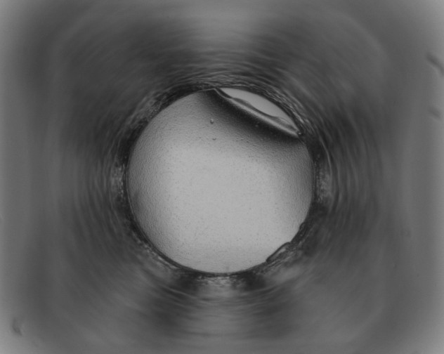 X0000091330473200708311440