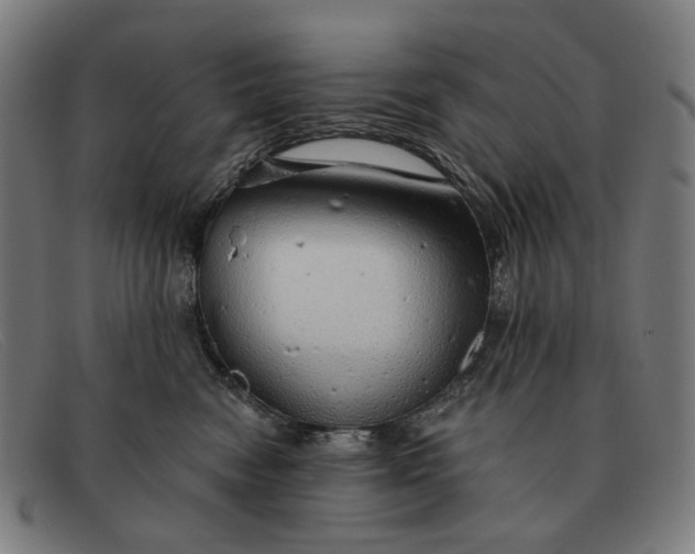 X0000091330474200708311440