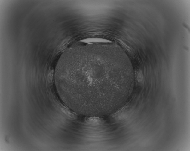 X0000091330475200708311440