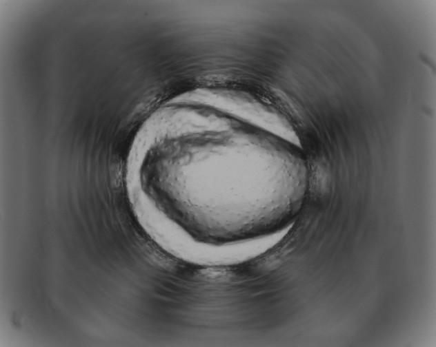 X0000091330477200708311440