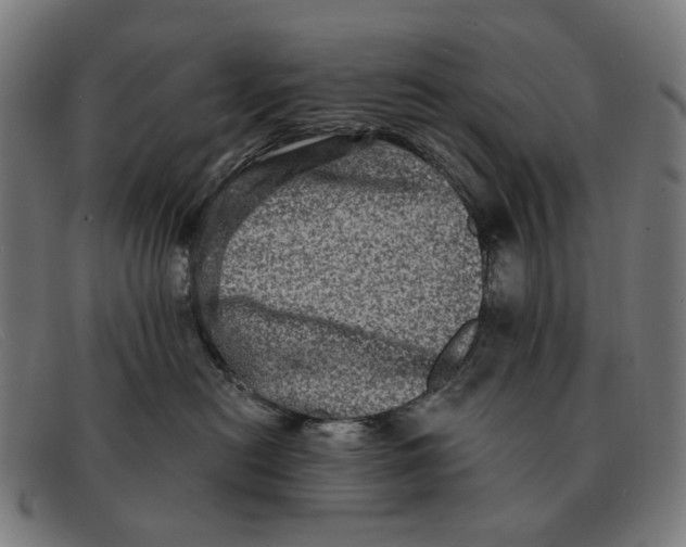 X0000091330478200708311440