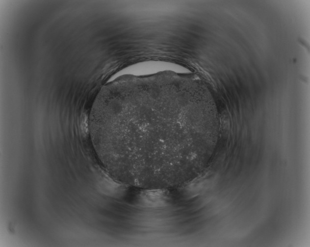 X0000091330479200708311440