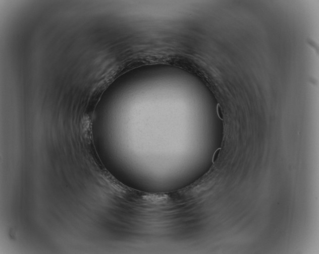 X0000091330480200708311440