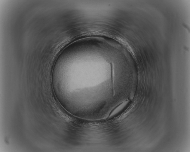 X0000091330481200708311439