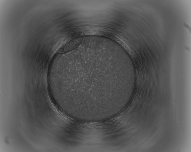 X0000091330482200708311439