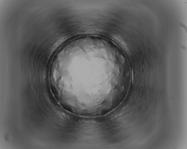 X0000091330483200708311439