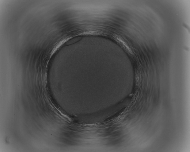 X0000091330484200708311439
