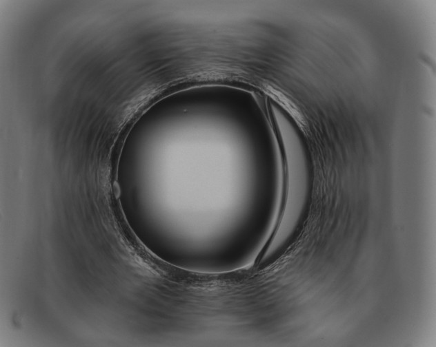 X0000091330485200708311439