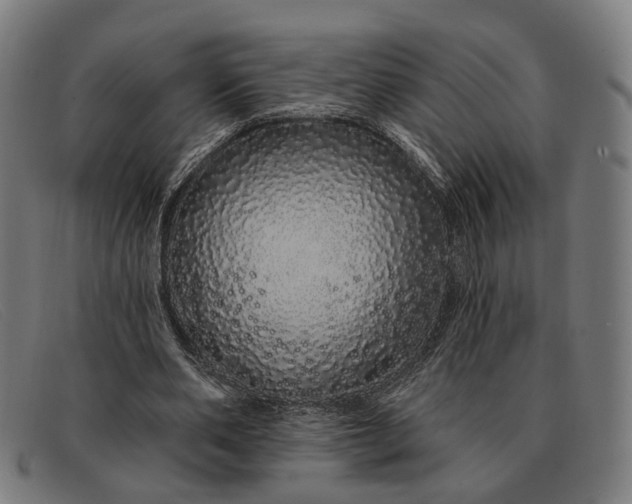 X0000091330486200708311439