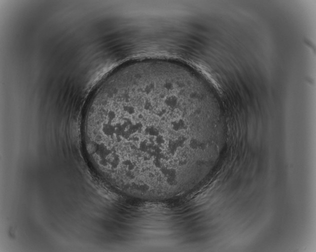 X0000091330487200708311439