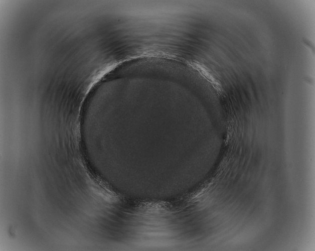 X0000091330488200708311439