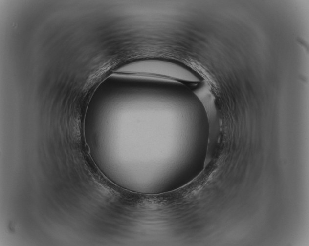 X0000091330489200708311439
