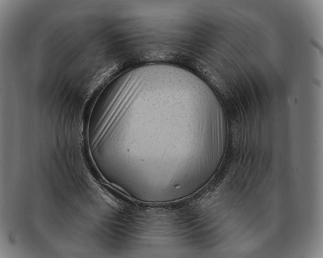 X0000091330490200708311439