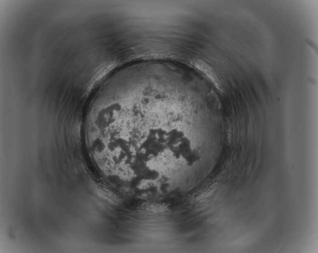 X0000091330491200708311439