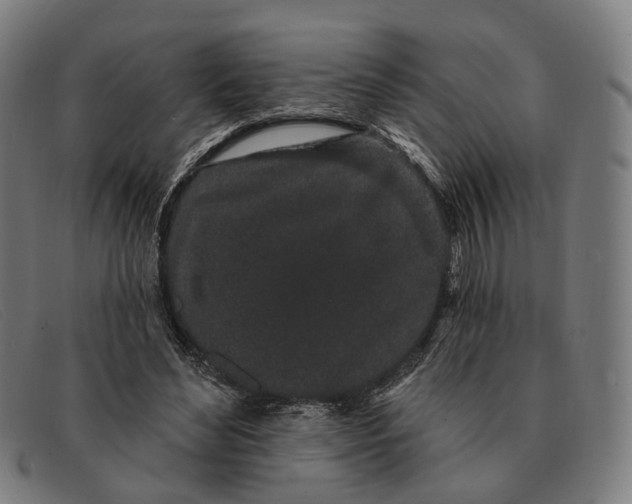 X0000091330492200708311439