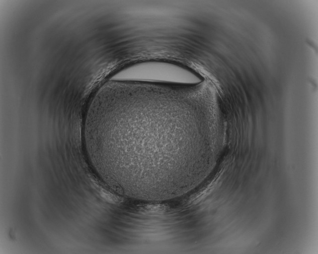 X0000091330493200708311439