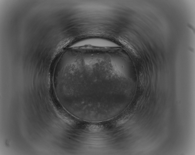 X0000091330494200708311439