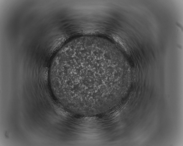 X0000091330495200708311439