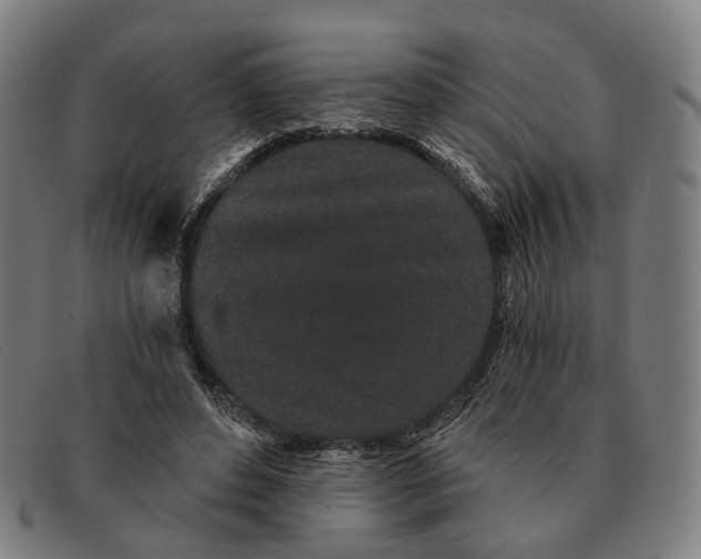 X0000091330496200708311439