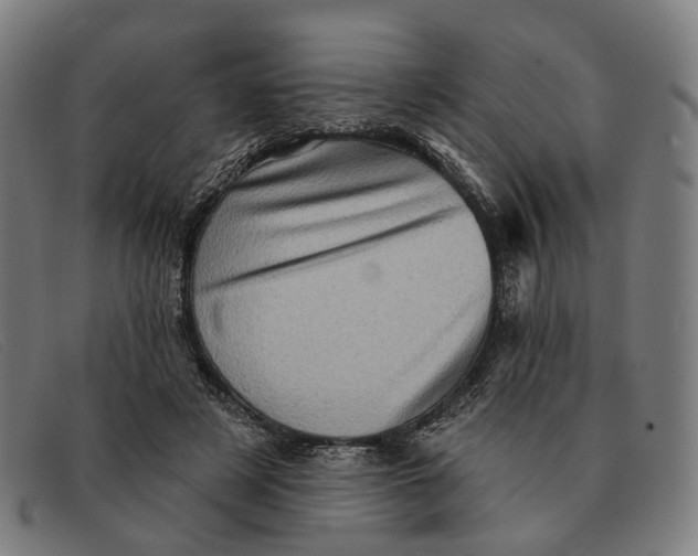 X0000091330497200708311439