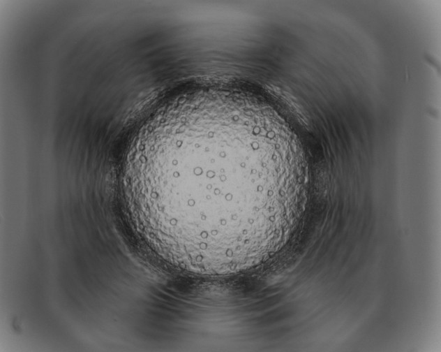 X0000091330498200708311439
