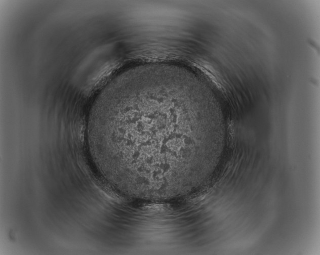 X0000091330499200708311439
