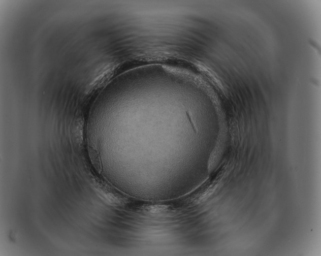 X0000091330501200708311439