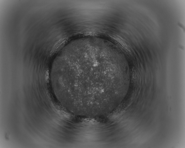 X0000091330502200708311439