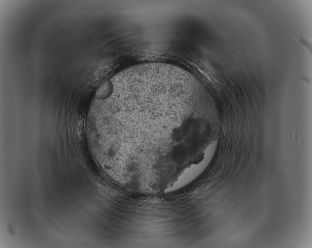 X0000091330503200708311439