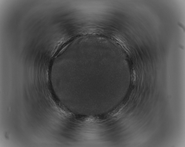X0000091330504200708311439