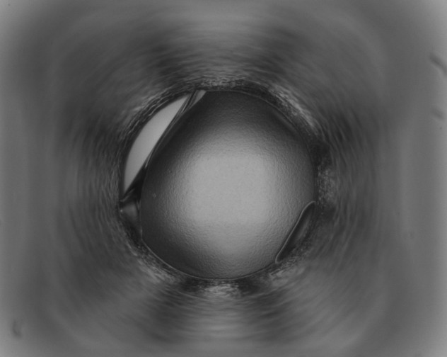 X0000091330505200708311439