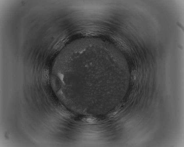 X0000091330506200708311439